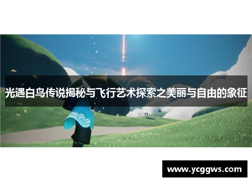 光遇白鸟传说揭秘与飞行艺术探索之美丽与自由的象征