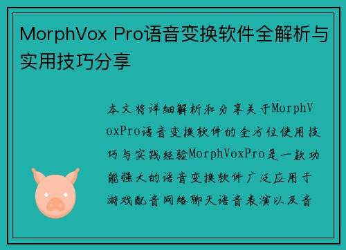 MorphVox Pro语音变换软件全解析与实用技巧分享